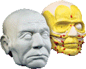 EDU-557 Peg Sculpture Kit - Julius Caesar