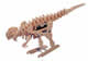 21-601 DINO The Mechanical Wooden Dinosaur Robot Kit (non-solder)