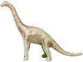 EDU-37357 Skin ’n Bones Brachiosaurus Model