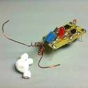 CHANEY ELECTRONICS C6984 CLASSPACK of 25 Little Jitterbug Robot Kits (solder version)
