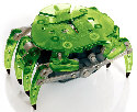 detail_4745_crab_green-sm.jpg