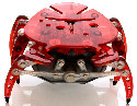 detail_4747_crab_red-sm.jpg