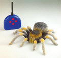 EDU-37291 RC Crawlers - Radio Controlled Tarantula