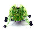 HEXBUG-BRAVO GREEN