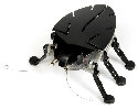 HEXBUG-DELTA BLACK