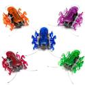 HEXBUG Ant - random color