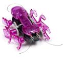 HEXBUG Ant Pink