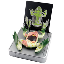 ELENCO EDU-37307-Simulated Frog Dissection Kit