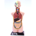 detail_1879_41007-sm.gif