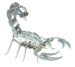 scorpion-small.jpg