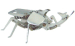 rhino-beetle-small.jpg